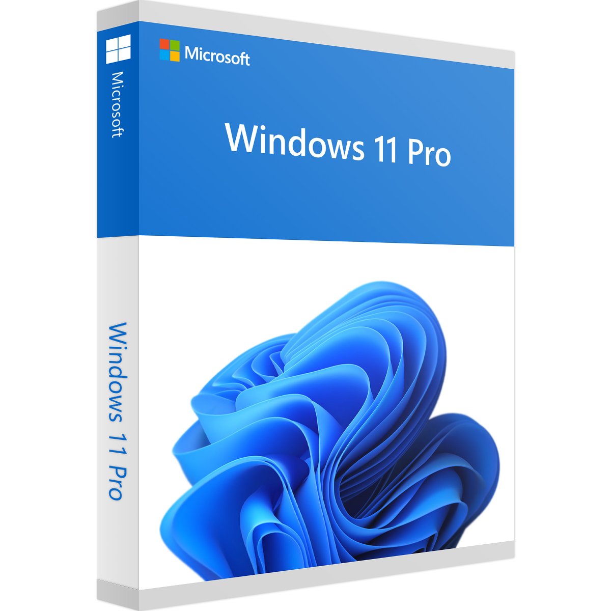 Windows_11_Pro Windows 11 Pro