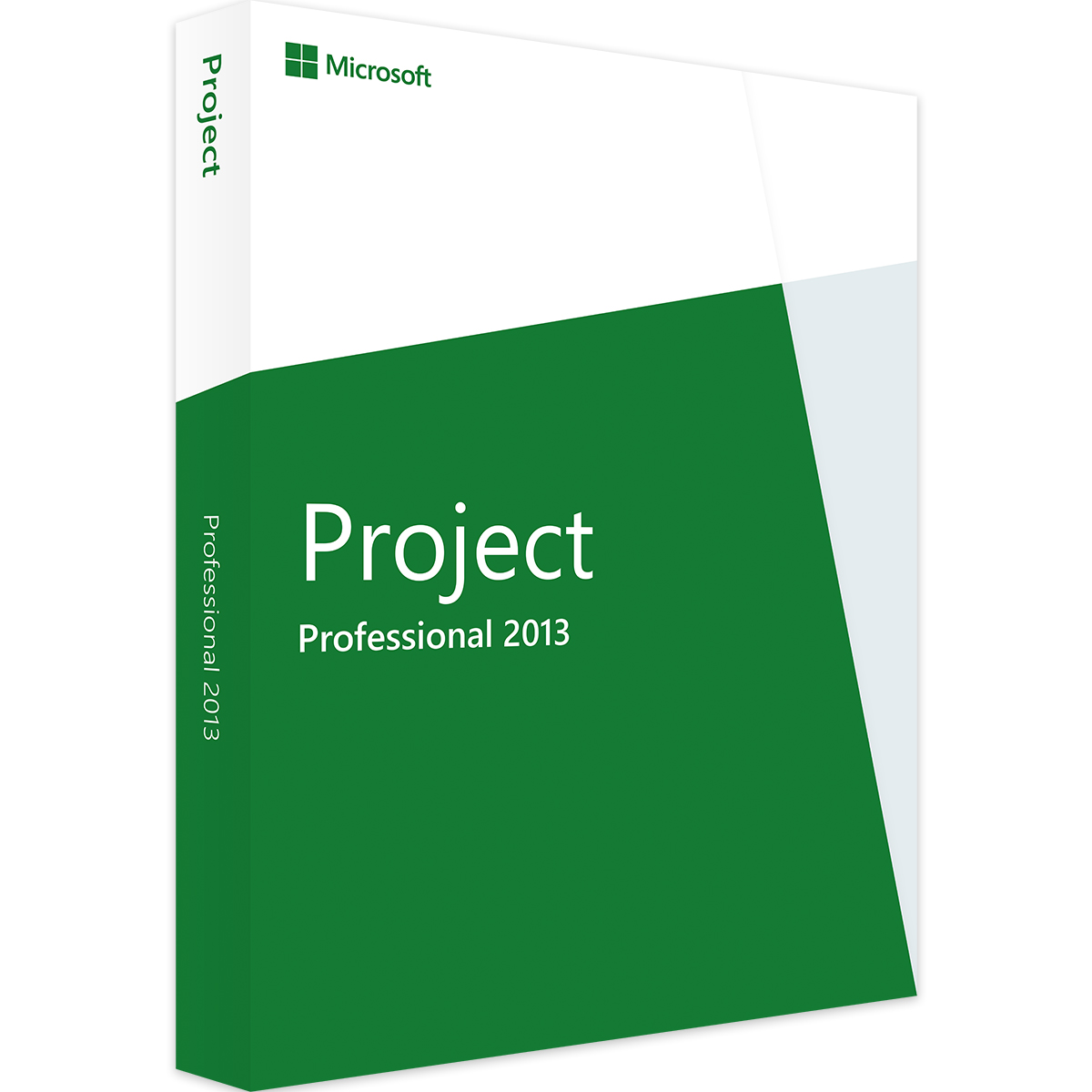 project-professional-2013-sm24 Microsoft Project 2013 Professional Cover