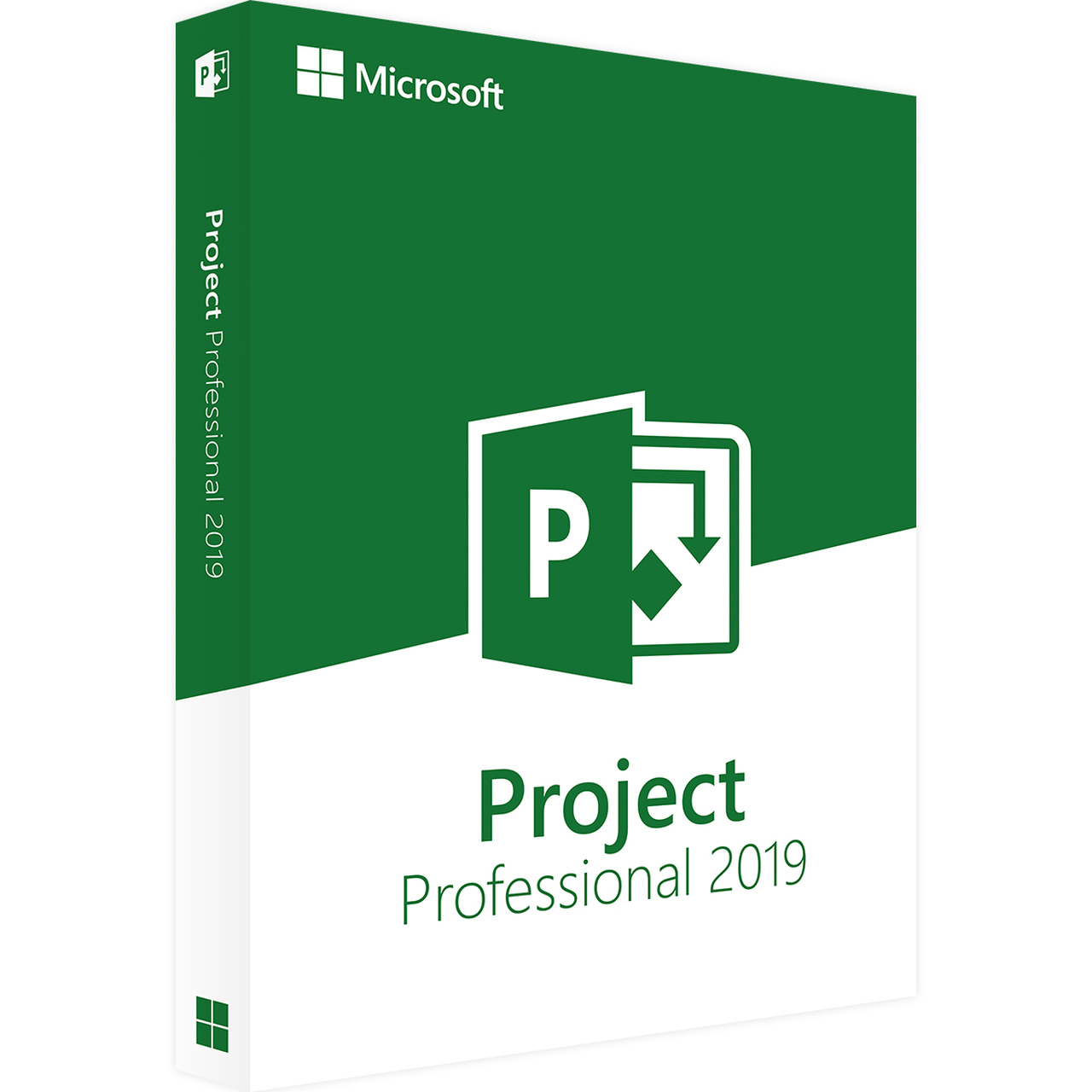 project-professional-2019-sm24 Microsoft Project 2019 Professional Cover