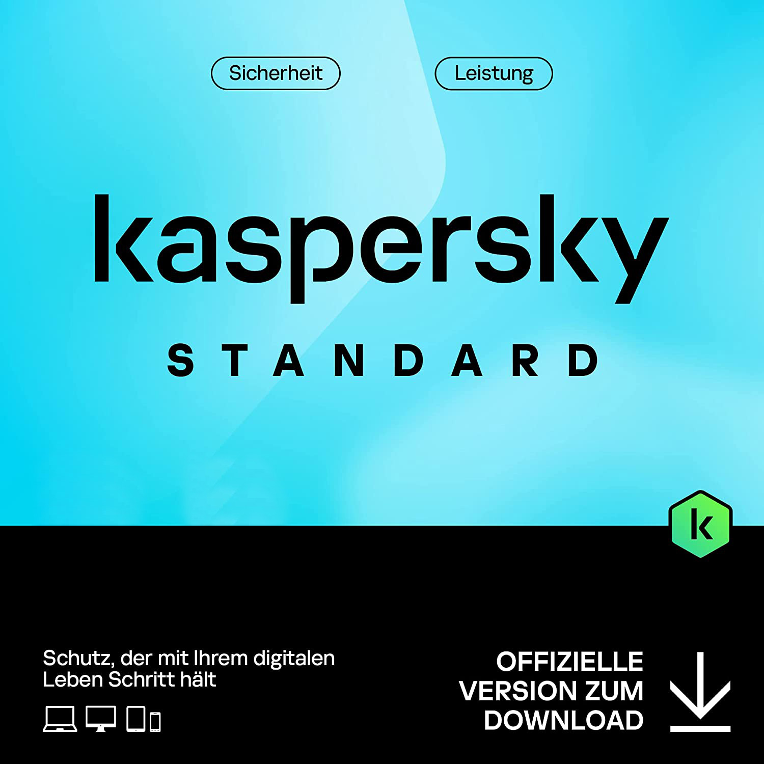 Kaspersky Standard 2025