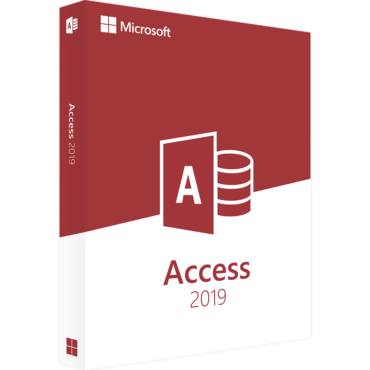 access-20195EWGPTZGBnMuK Microsoft Access 2019 Cover
